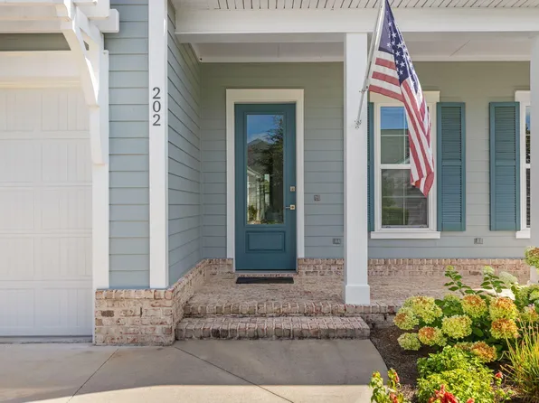 202 Suwannee Dr, Inlet Beach, FL 32461