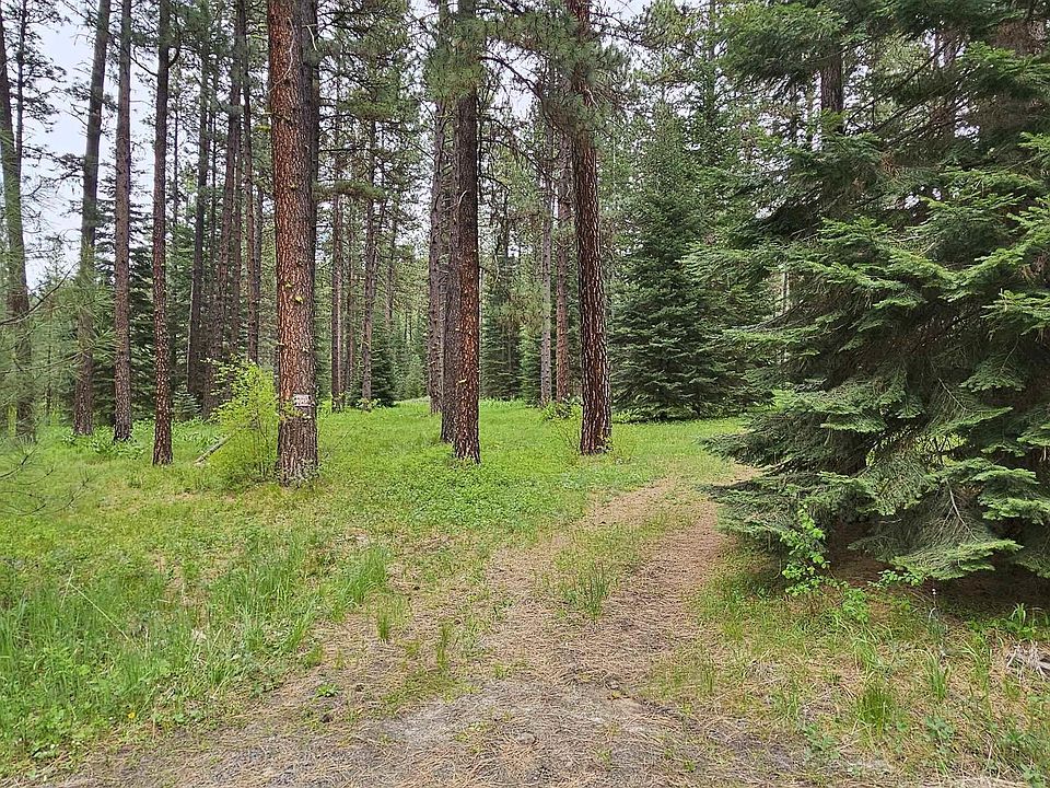 1st image of 2992 Black Bear Dr