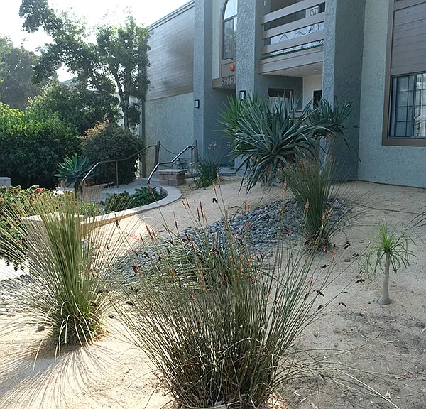 Golden Glen — Photo 1