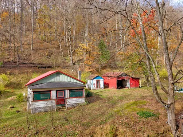 131 Big Bear Run Road, Smithfield, WV 26437
