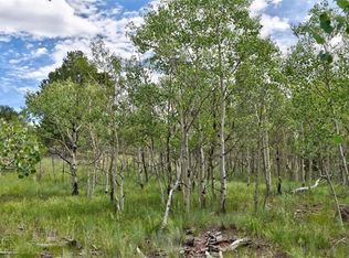 94 Ute Cir, Como, CO 80456
