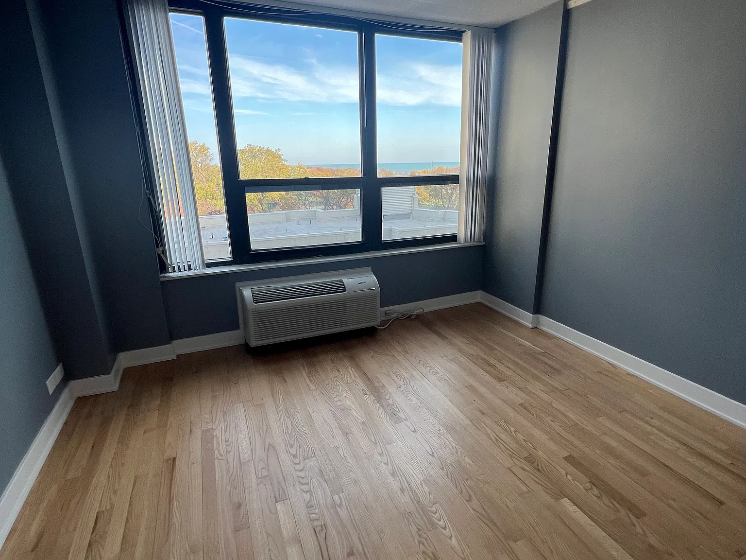 1 bed, 600 sqft, $1,950 — Photo 4