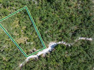 Hickory Ln Lot 30, Live Oak, FL 32060
