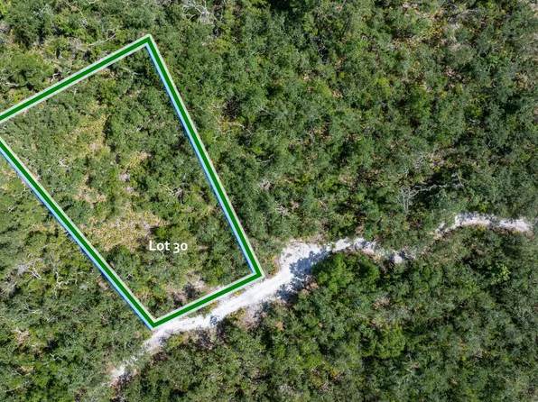 Hickory Ln Lot 30, Live Oak, FL 32060