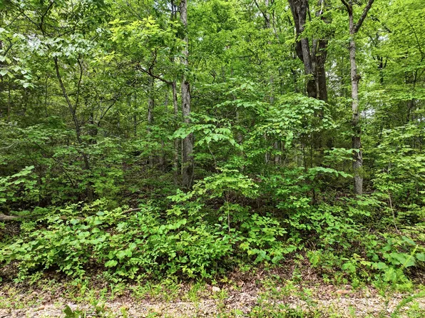 000 Co Rd 172, Tecumseh, MO 65760