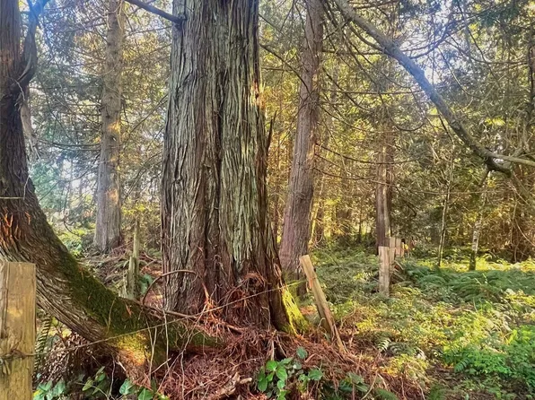 999 W Foster Road, Port Hadlock, WA 98339