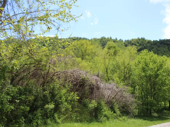 1874 Moores Creek Rd, Walker, KY 40997