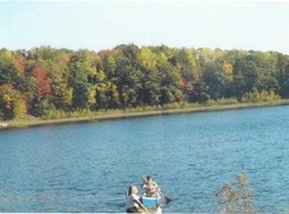 11206 Bellefleur Dr, Bear Lake, MI 49614