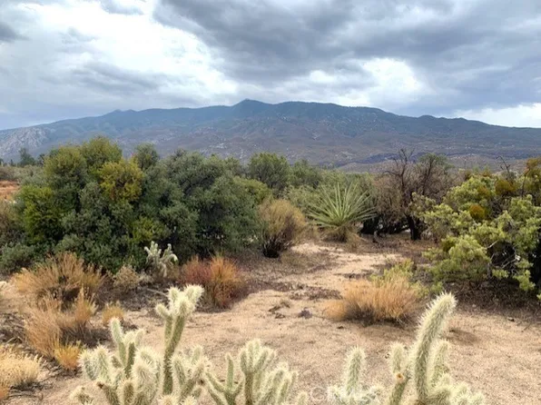 166 Casino Rd Lot 238, Mountain Center, CA 92561