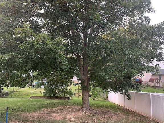 backyard view from inside 