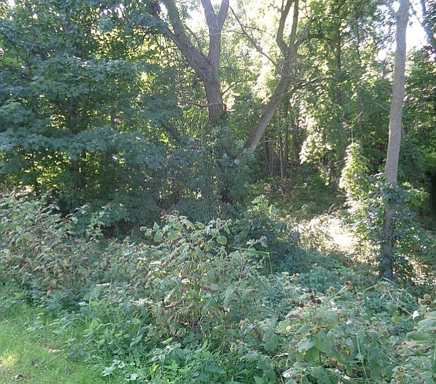 2nd image of 592 Phillips Rd