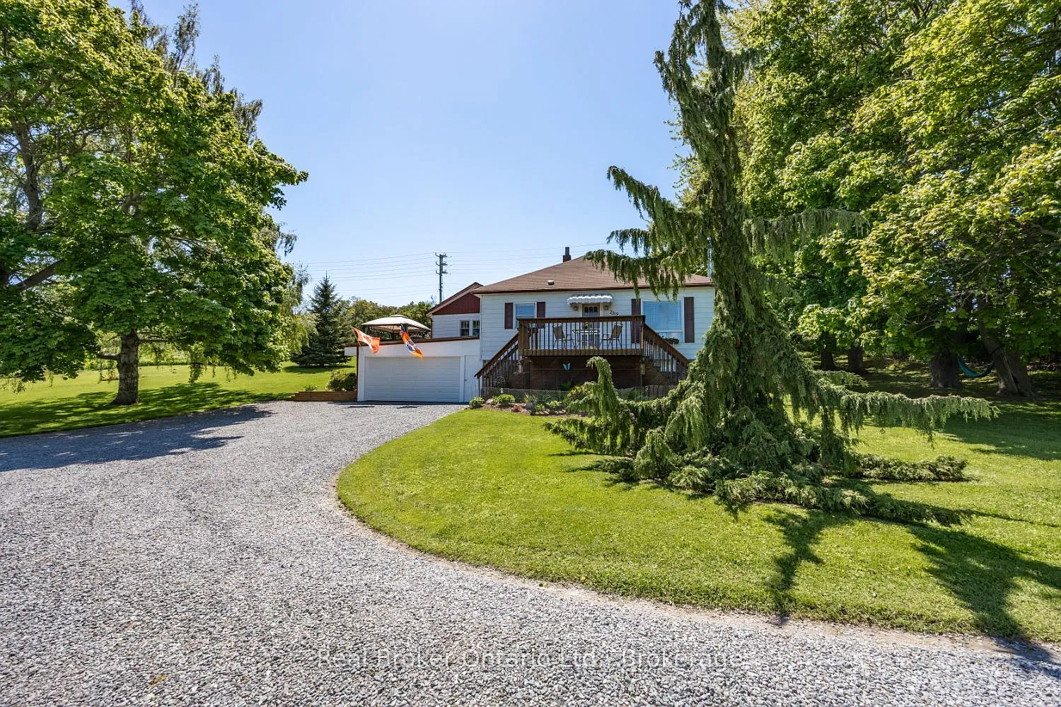 3 bed, $3,000 — Photo 3