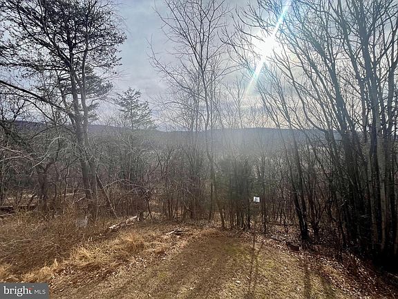 3rd image of 305 Rickard Pl