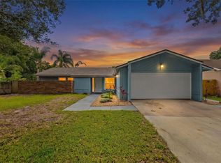 15917 Country Farm Pl, Tampa, FL 33624