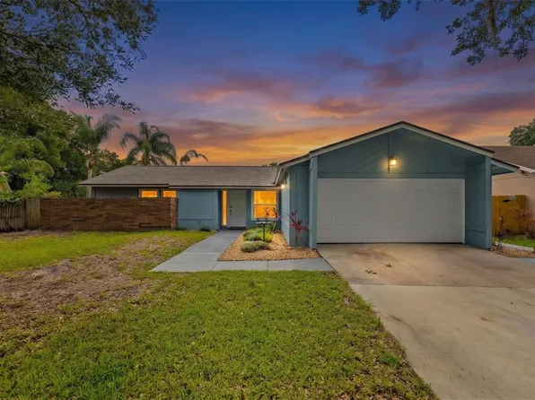 15917 Country Farm Pl, Tampa, FL 33624