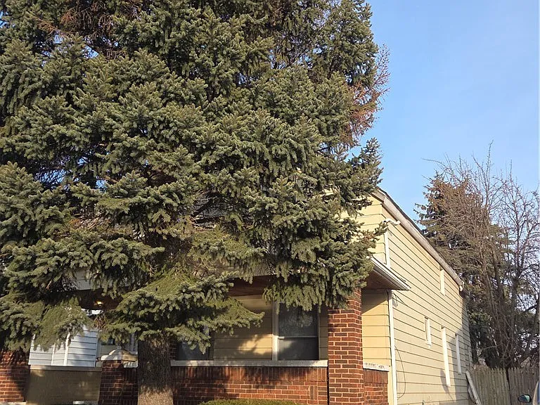 3803 E 50th St #DOWN — Photo 3