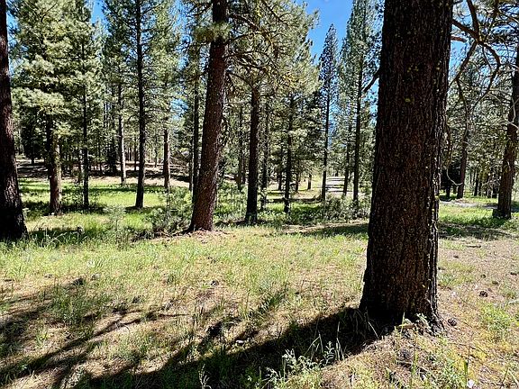 3rd image of 1855 Valley Ranch Dr