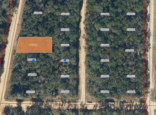 0 Walker Dr #20, Interlachen, FL 32148