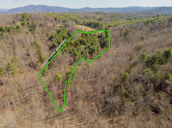 0 Lick Ridge Rd NE #0, Check, VA 24072