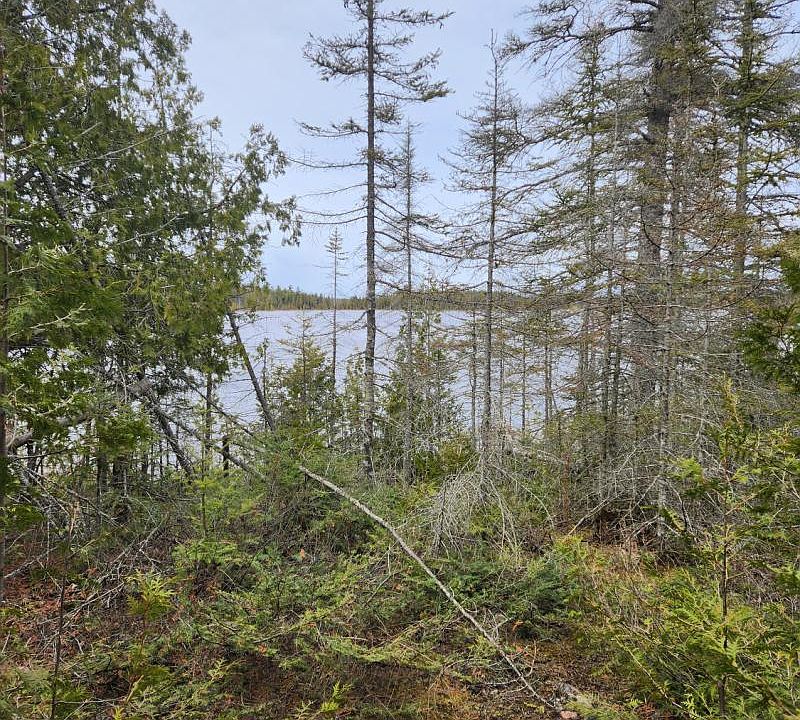 1st image of E Canoe Bay Rd