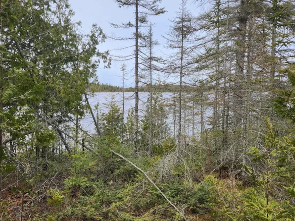 E Canoe Bay Rd, Drummond Island, MI 49726