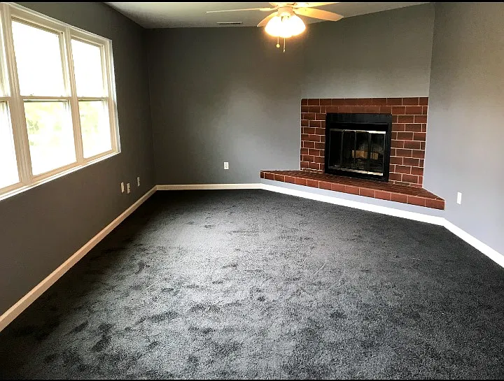 Living Room - non functioning fireplace