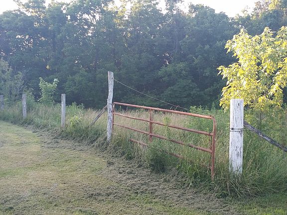 Pasture