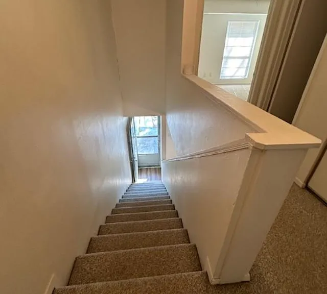 40 Phlox Dr — Photo 22