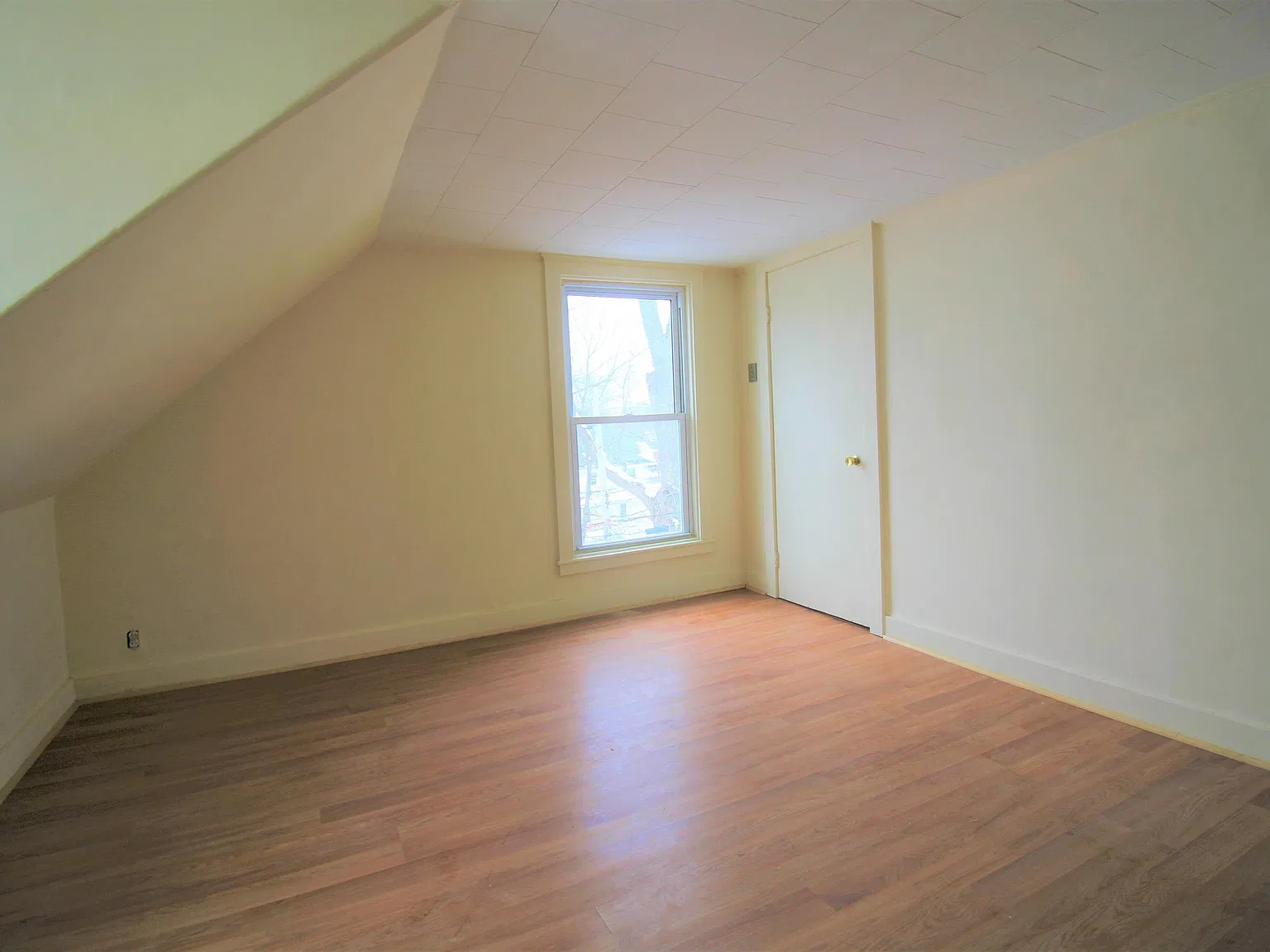 189 Pine St — Photo 4