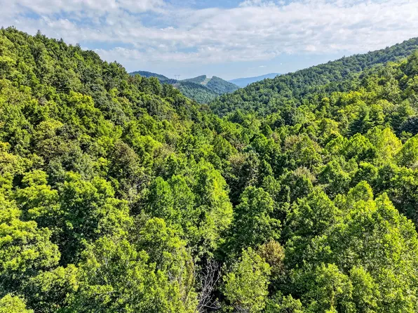 Lavender Rd, Shawsville, VA 24162
