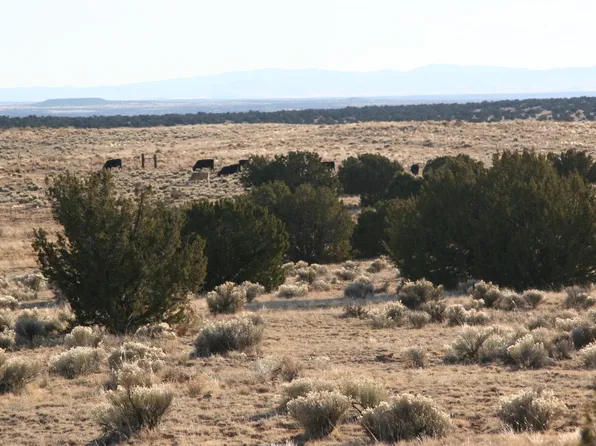 498 Woodland Valley Rnch, Saint Johns, AZ 85936