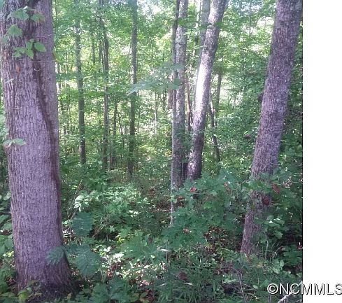 2nd image of 524 N River Rd