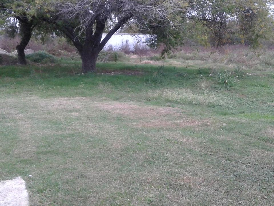 1st image of 181 Kaatz Ln