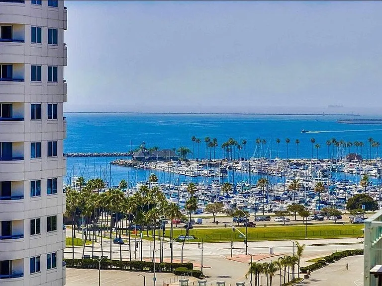 455 E Ocean Blvd #1105 — Photo 9