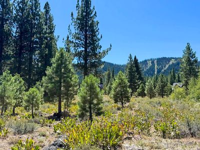 740 John Mc Kinney, Truckee, CA, 96161