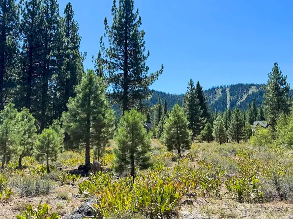 740 John Mc Kinney, Truckee, CA 96161