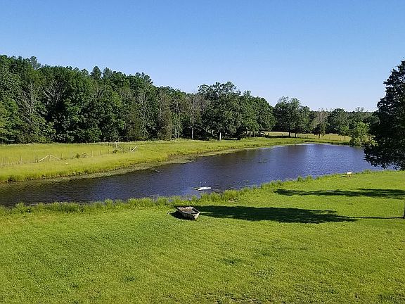 The Pond During Spring