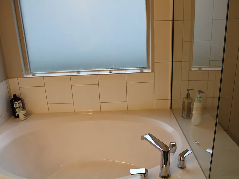 Primary Suite Tub