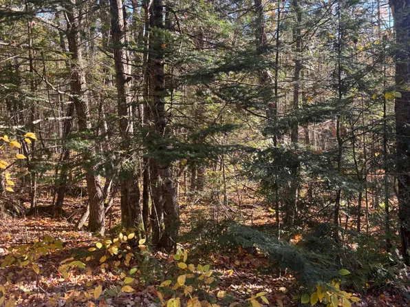74-1 Wharff Road Lot 74-1, Guilford, ME 04443