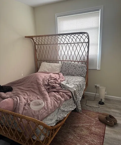 163 Chancellor St #7 — Photo 3