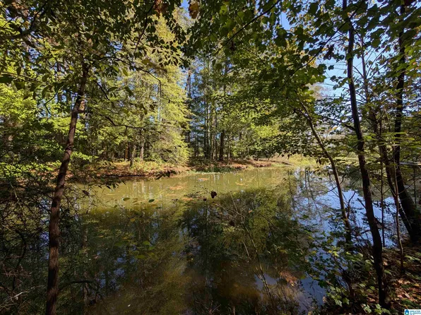 0 Riverchase Dr #0, Gadsden, AL 35907