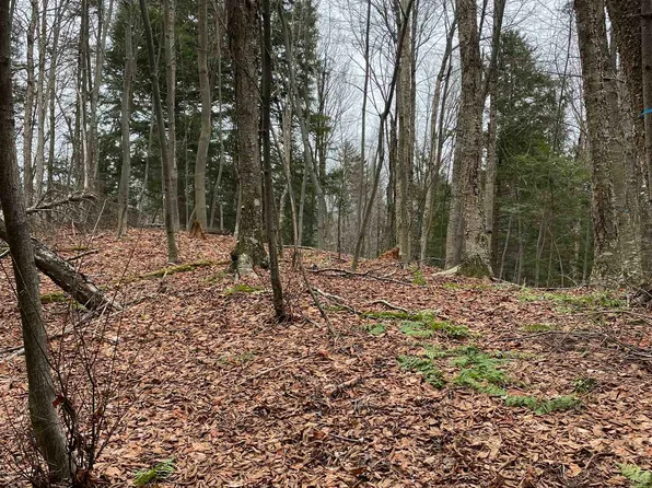 A Lake Road, Newport City, VT 05855