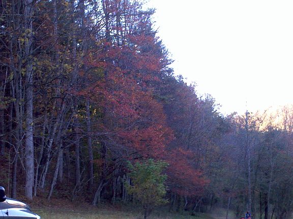 View from the back porch