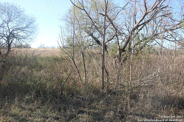 1st image of 625 County Road 121