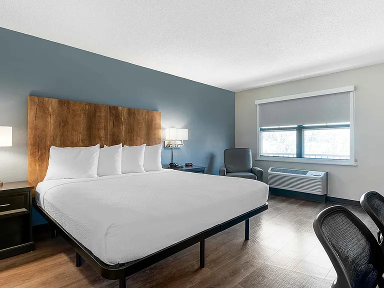 Studio Suite - 1 King Bed