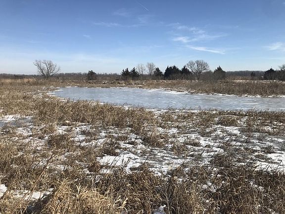 Rawhide Creek Recreational Land, duck pond 