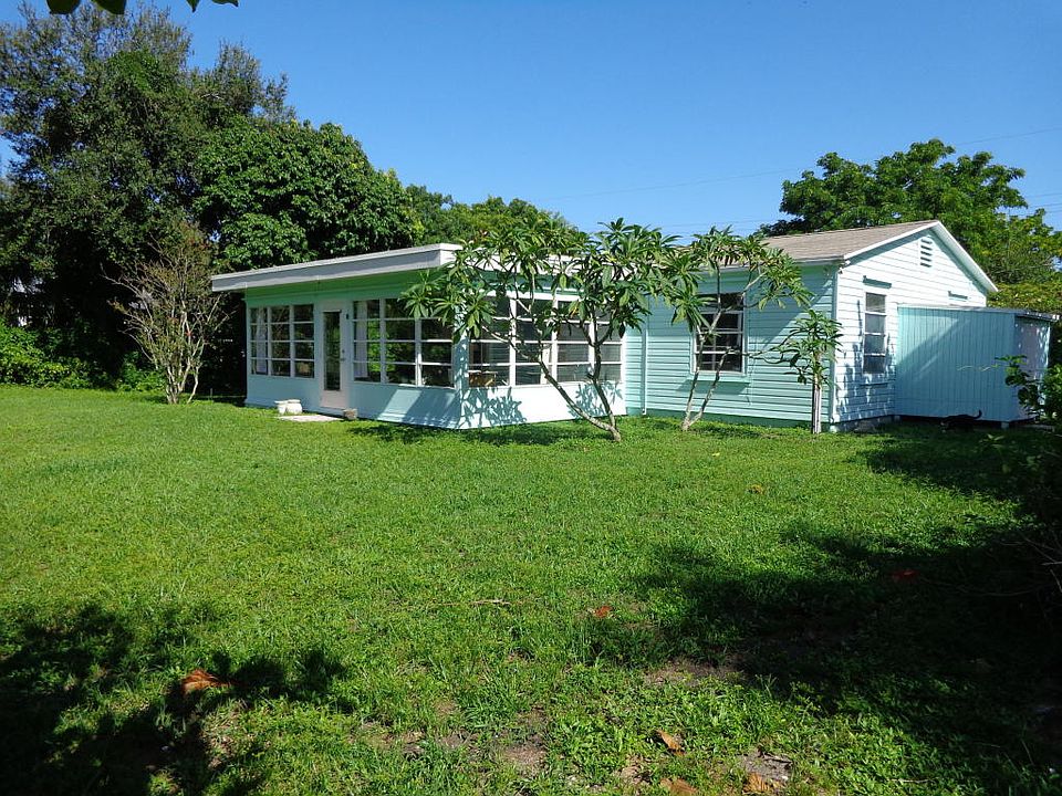 View of the back yard