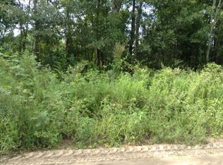 1714 Bethel Forest Rd, Rowesville, SC 29133