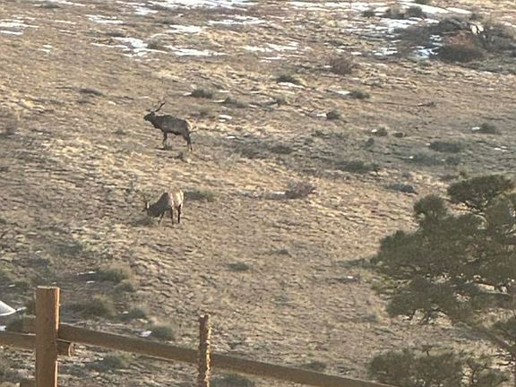 42nd image of this home