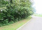 2nd image of Kimaron Lane